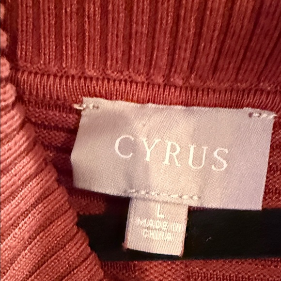Cyrus Women's Cowl Neck Sweater in Rust - Picture 2 of 3